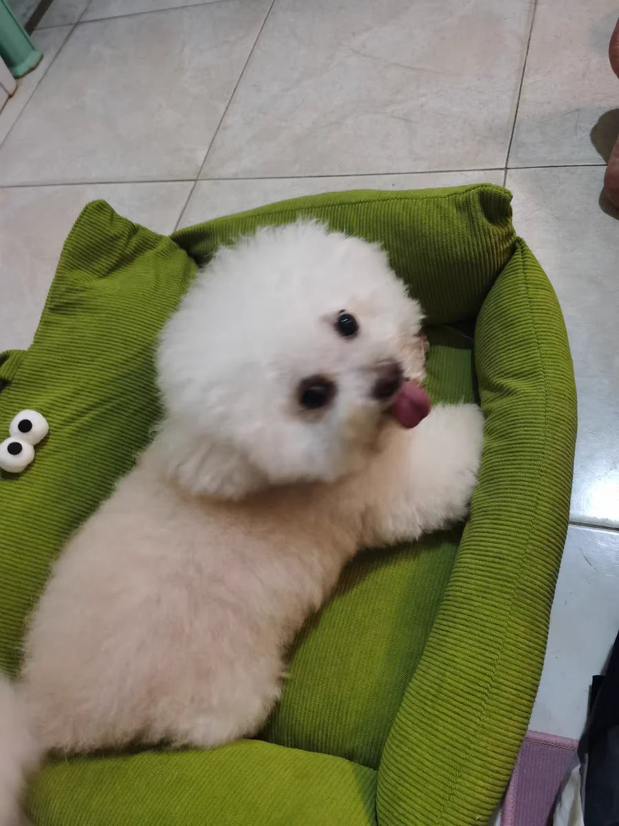Winter Pet Sofa Bed