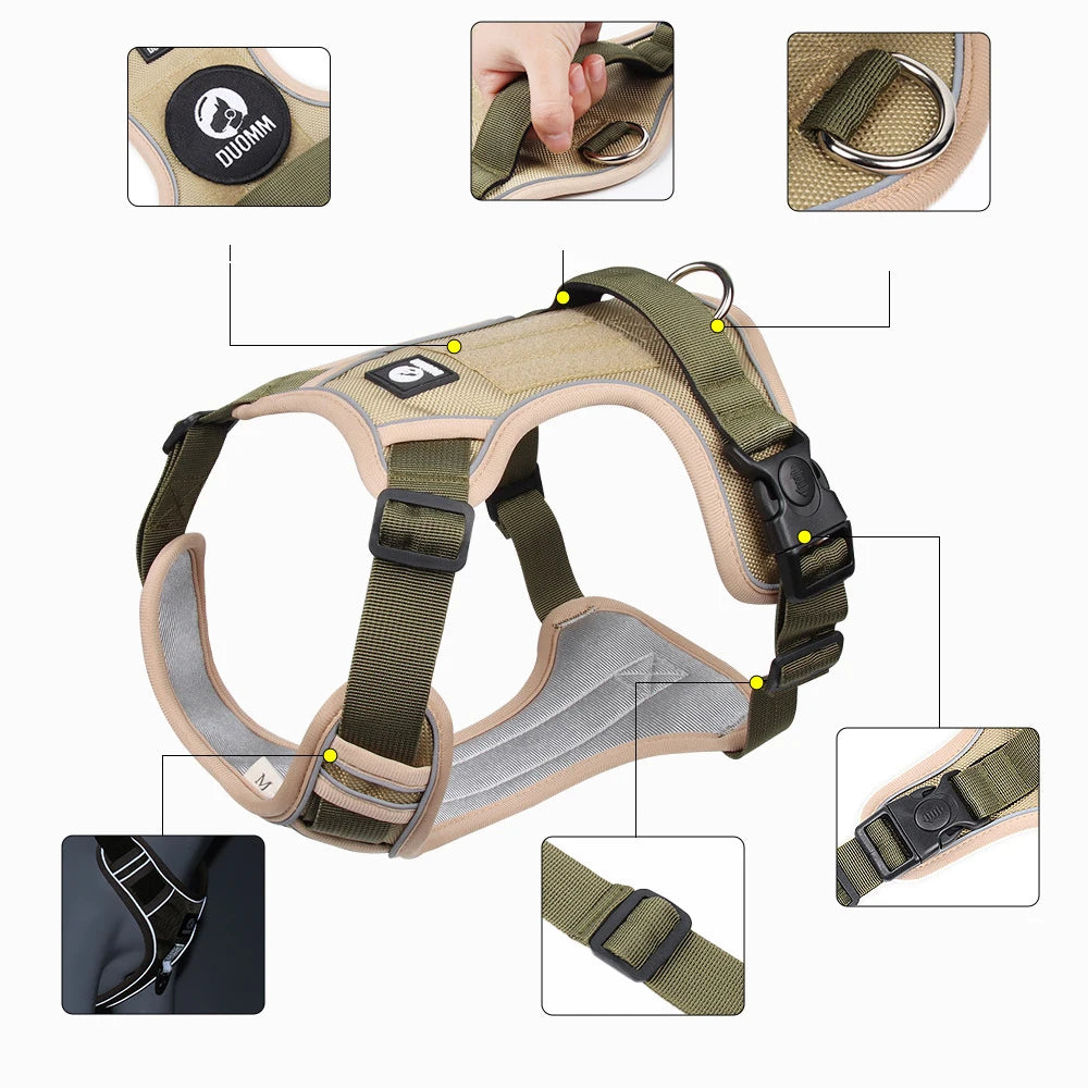 Training & Walking Dog Harness