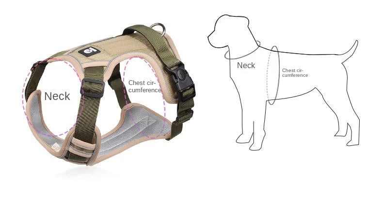 Training & Walking Dog Harness