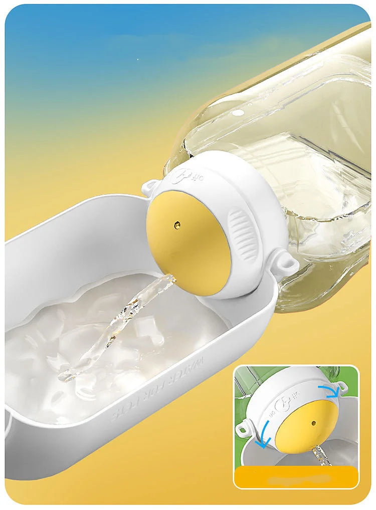On-the-Go Pet Hydration