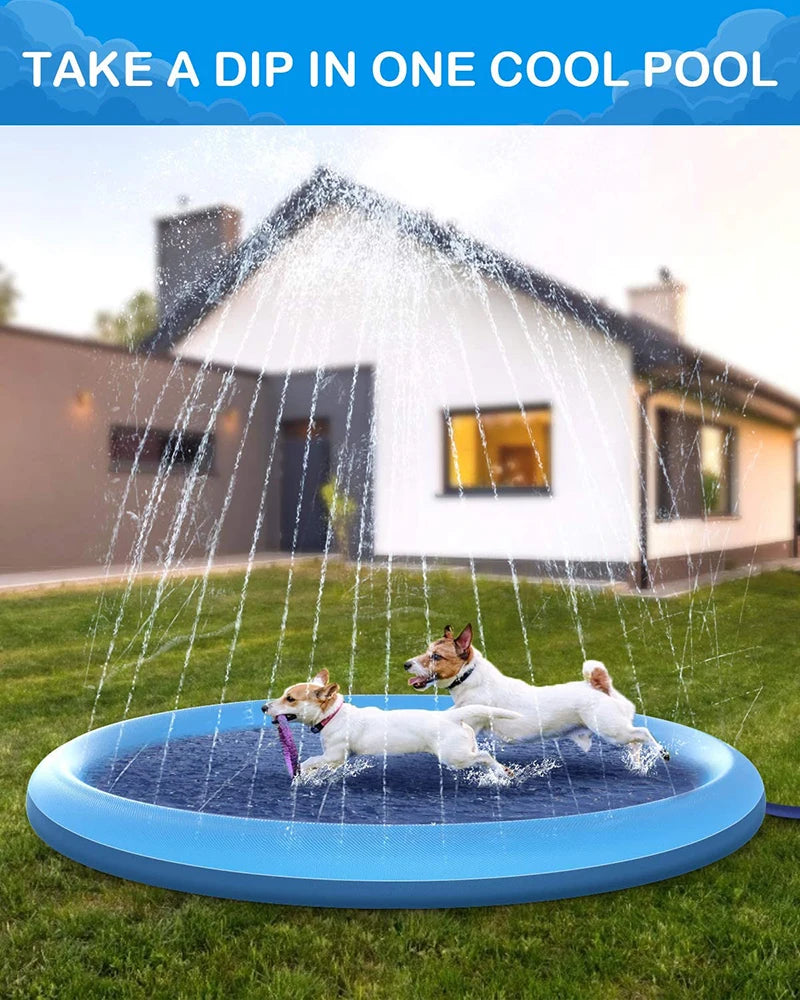 Dog Splash Pad & Sprinkler Pool