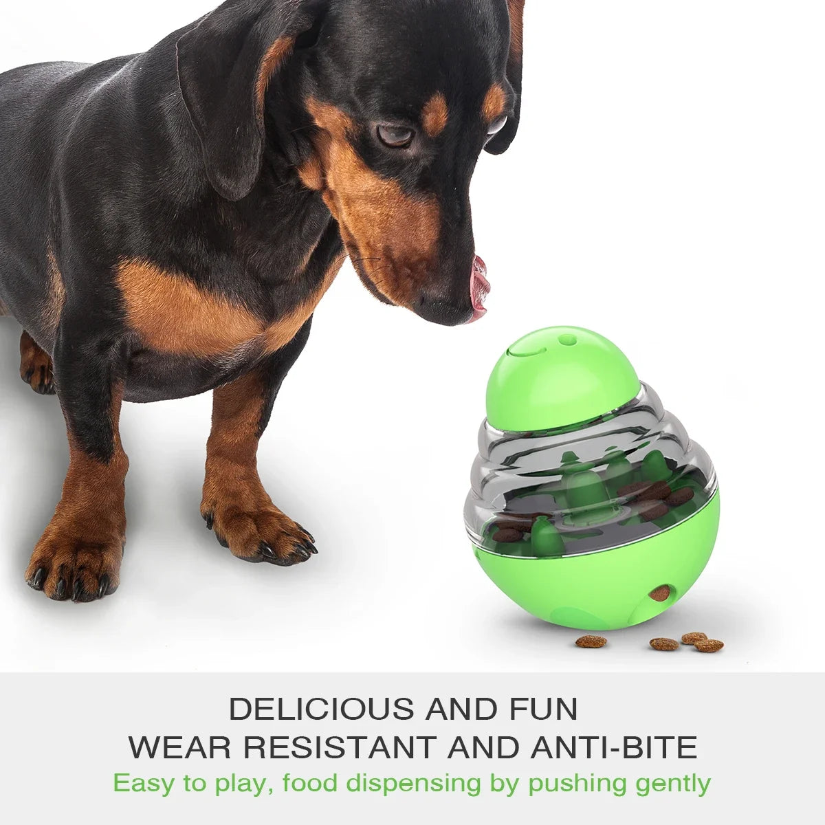 IQ Boost Slow Feeder Toy