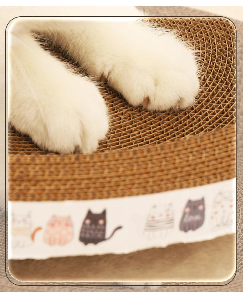 Cat Bed & Scratcher Combo