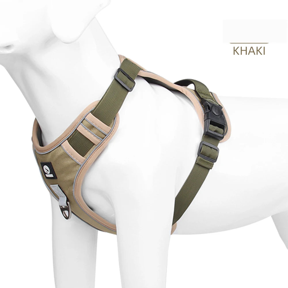 Training & Walking Dog Harness
