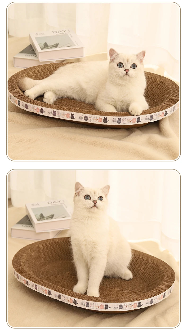 Cat Bed & Scratcher Combo