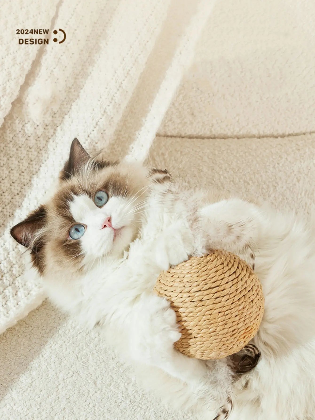 Cat Chew & Scratch Ball