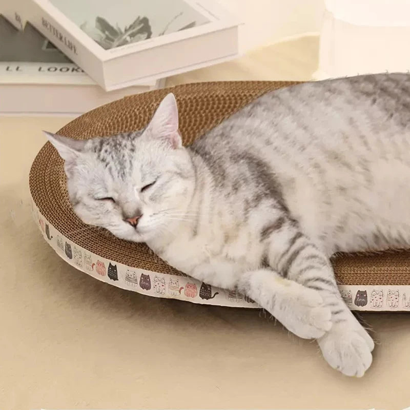 Cat Bed & Scratcher Combo