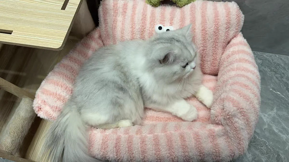 Winter Pet Sofa Bed