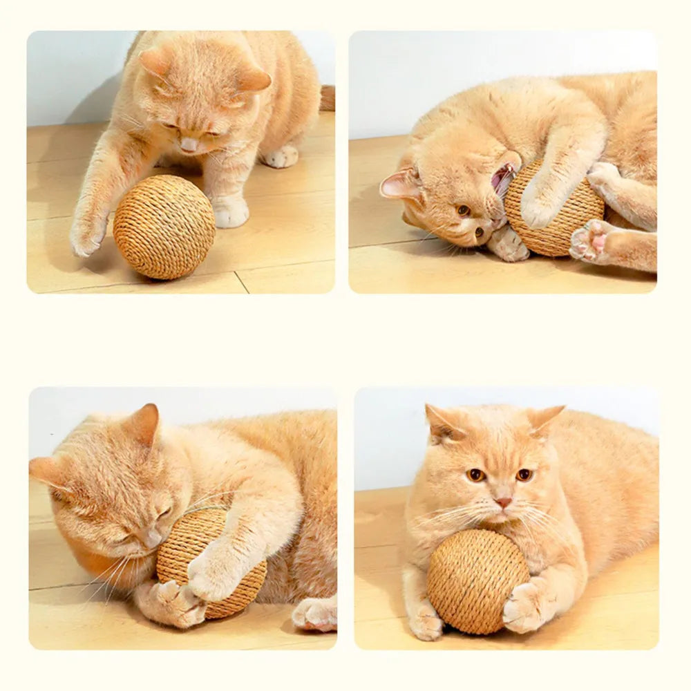 Cat Chew & Scratch Ball