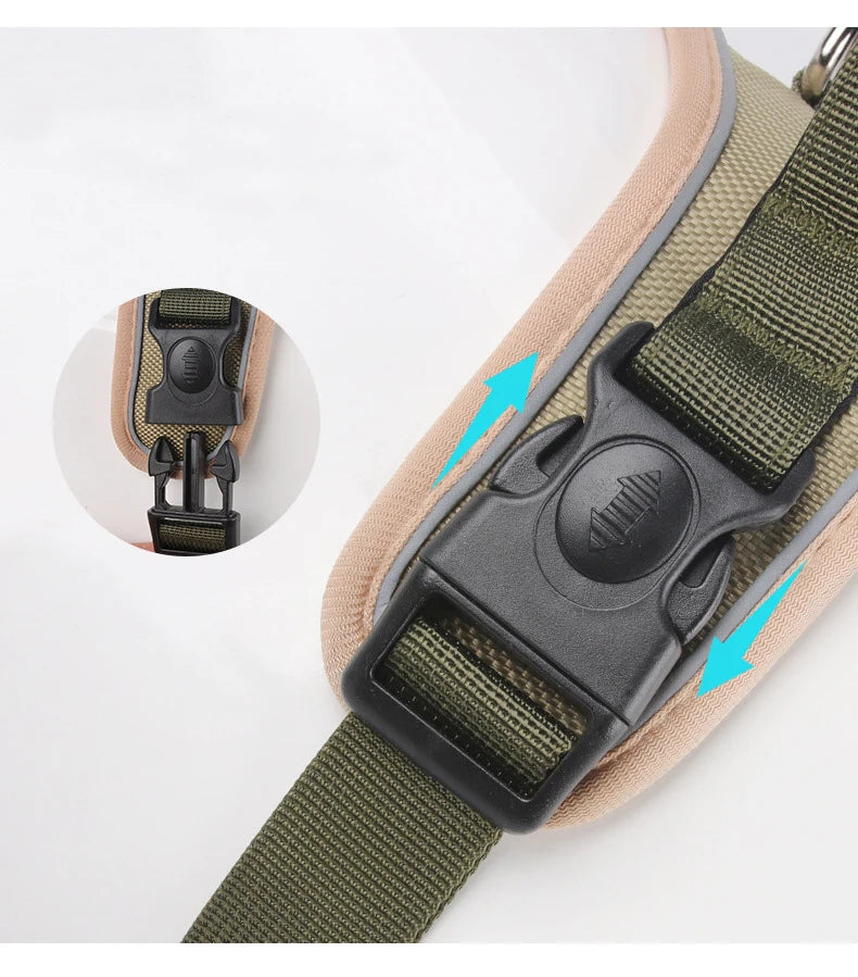 Training & Walking Dog Harness