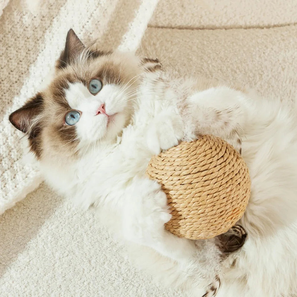 Cat Chew & Scratch Ball