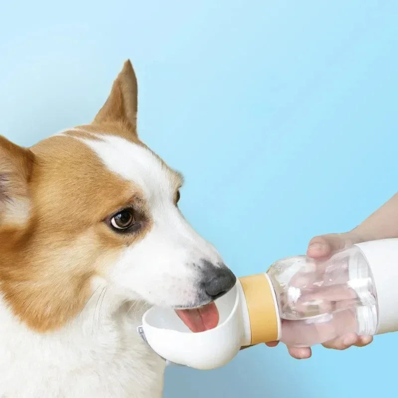 Dog & Cat Water + Snack Bottle