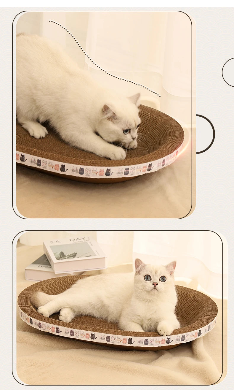 Cat Bed & Scratcher Combo