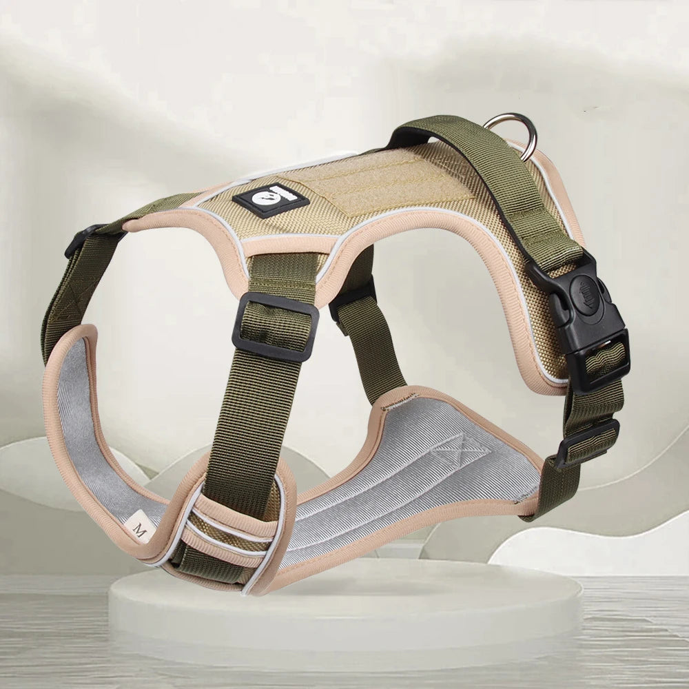 Training & Walking Dog Harness