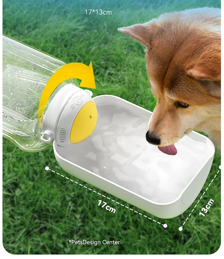 On-the-Go Pet Hydration