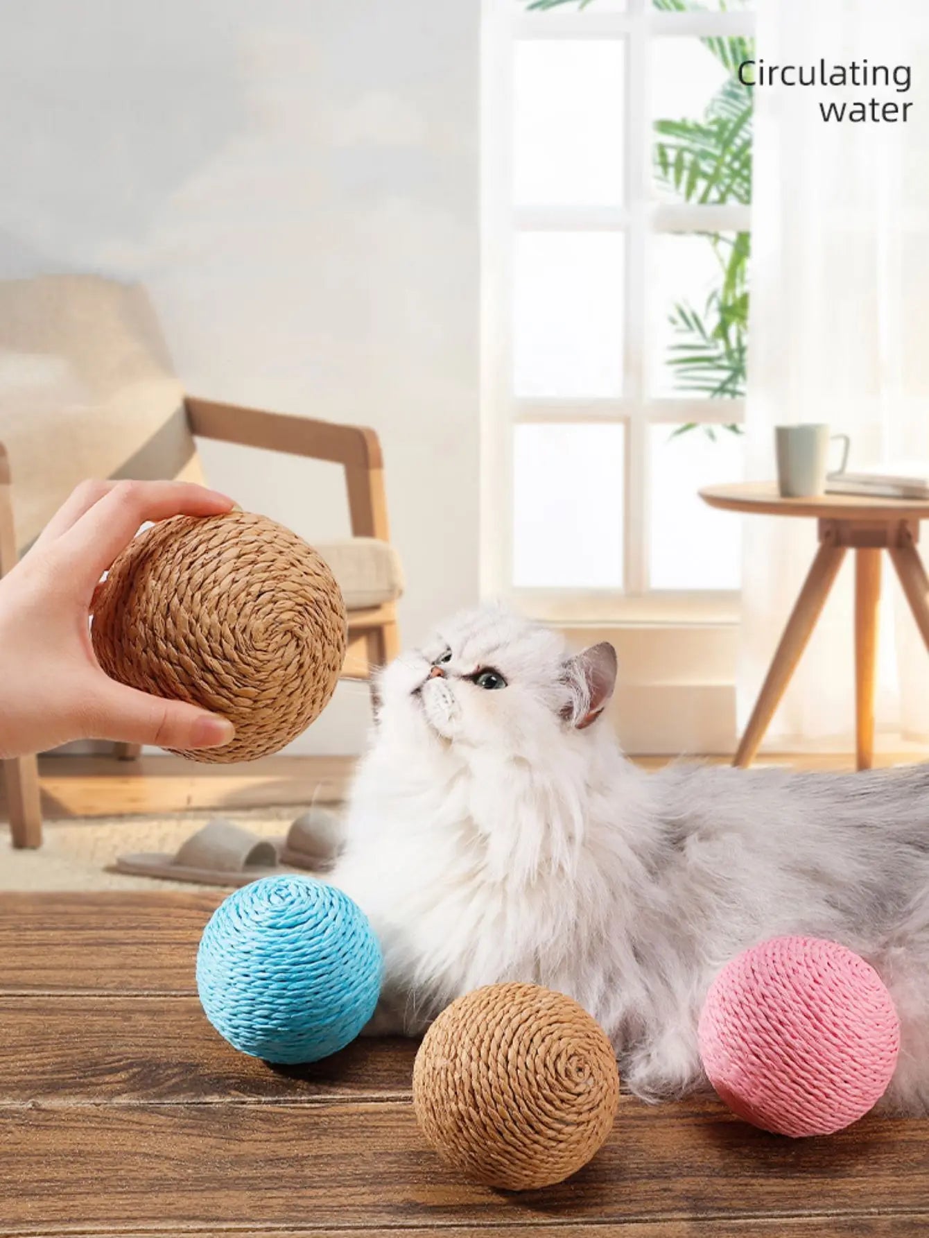 Cat Chew & Scratch Ball