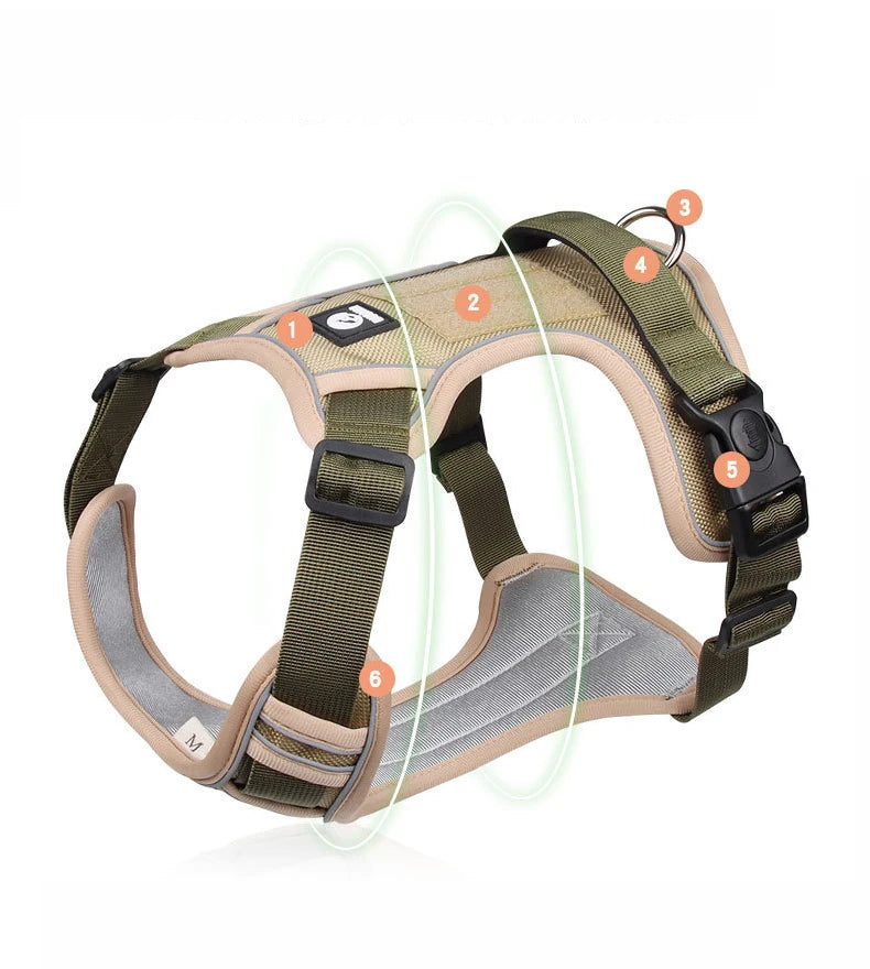 Training & Walking Dog Harness