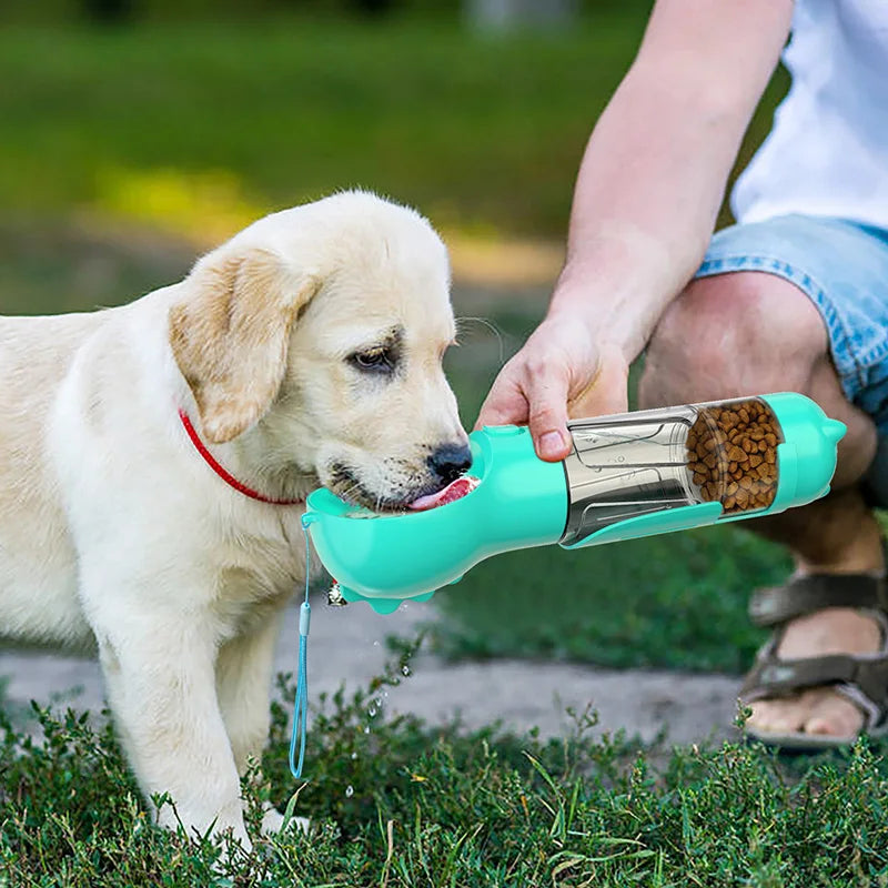 PawPort Hydration Hub