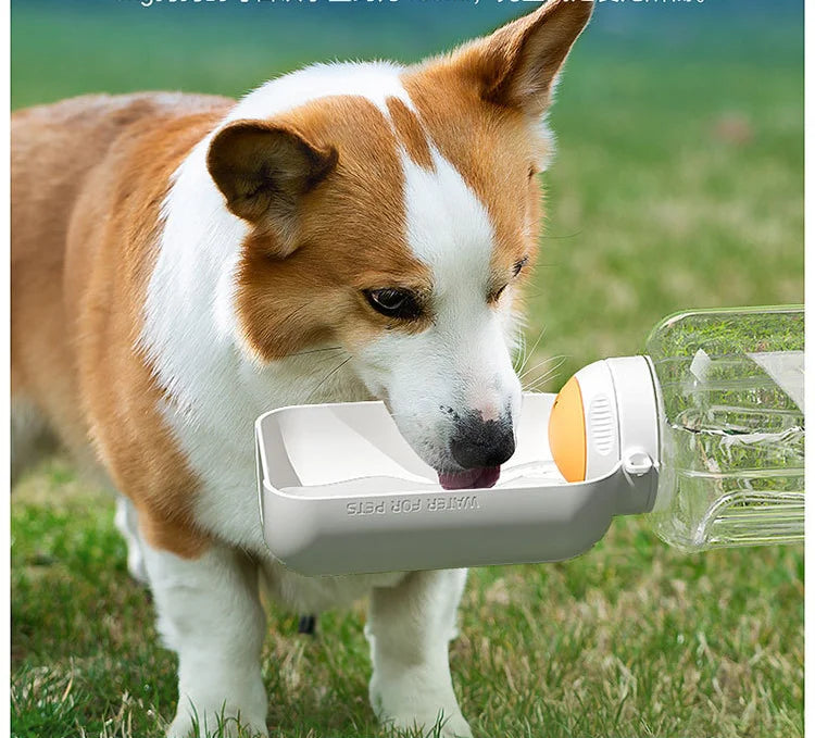 On-the-Go Pet Hydration