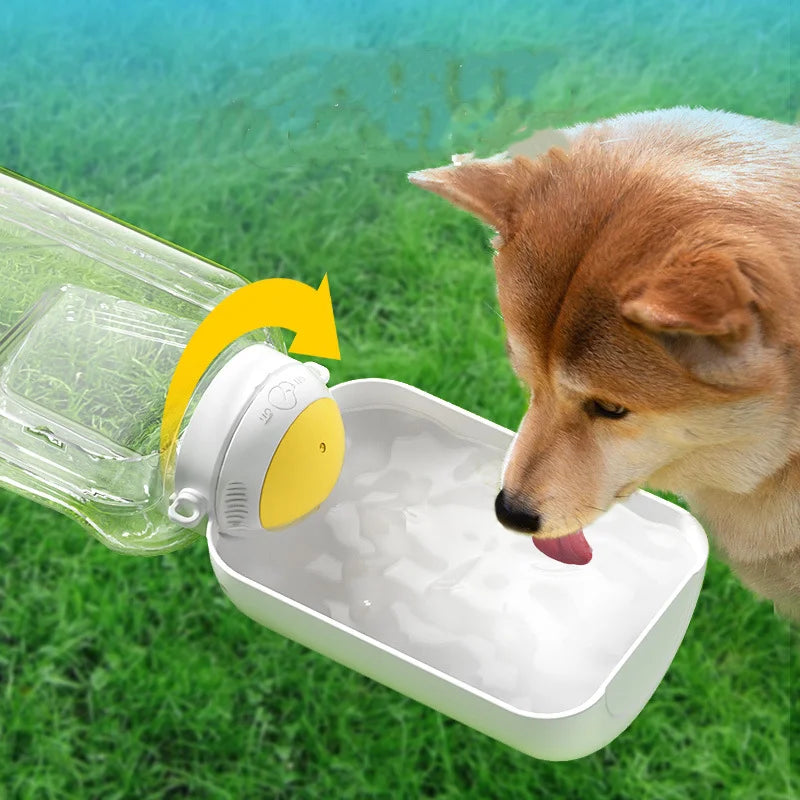 On-the-Go Pet Hydration