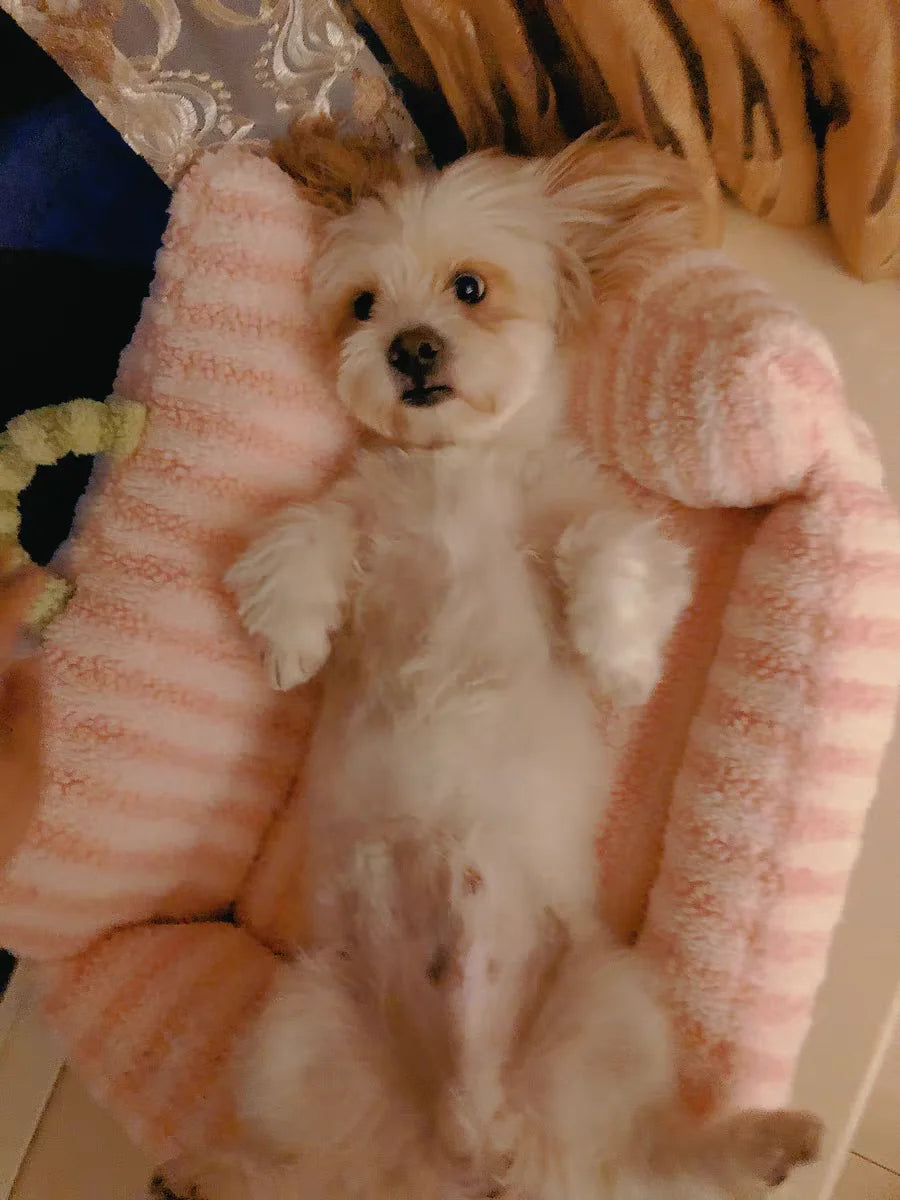 Winter Pet Sofa Bed