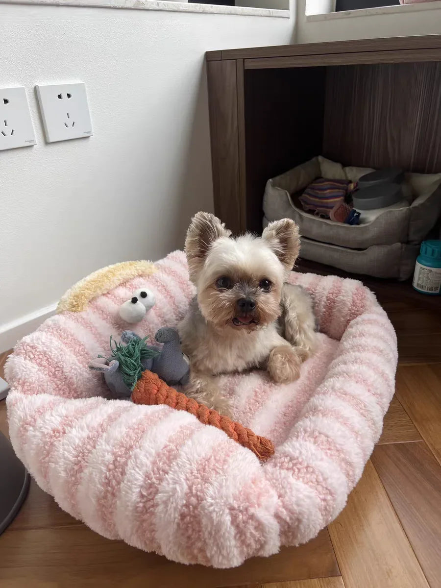 Winter Pet Sofa Bed