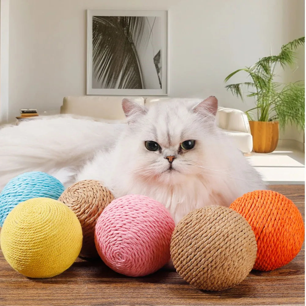 Cat Chew & Scratch Ball
