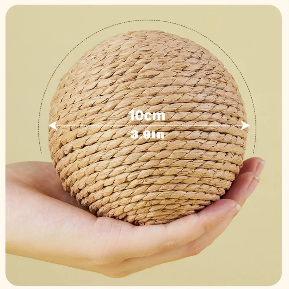 Cat Chew & Scratch Ball