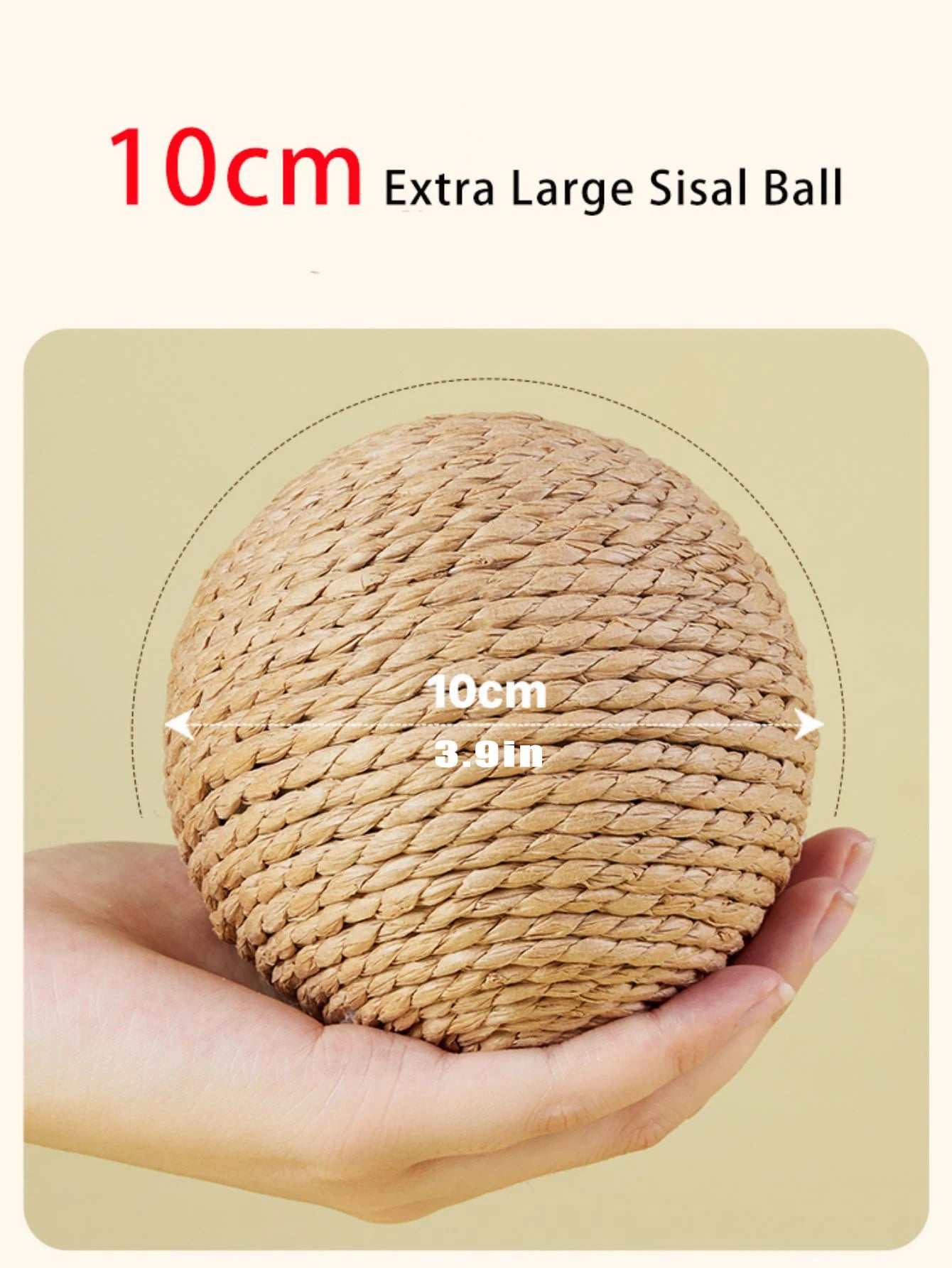 Cat Chew & Scratch Ball