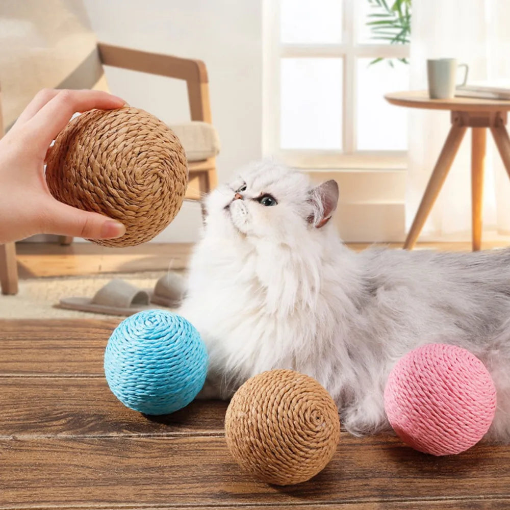 Cat Chew & Scratch Ball