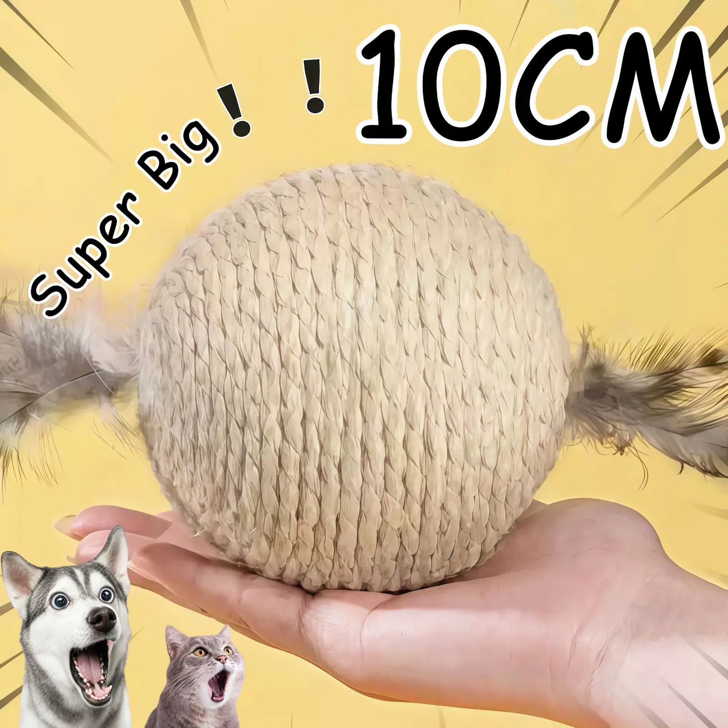 Cat Chew & Scratch Ball