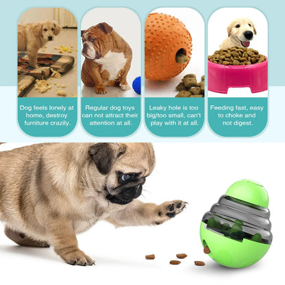 IQ Boost Slow Feeder Toy