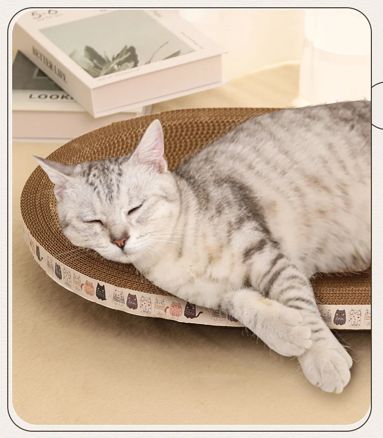 Cat Bed & Scratcher Combo