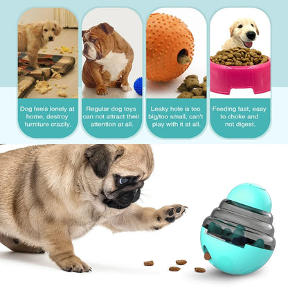 IQ Boost Slow Feeder Toy