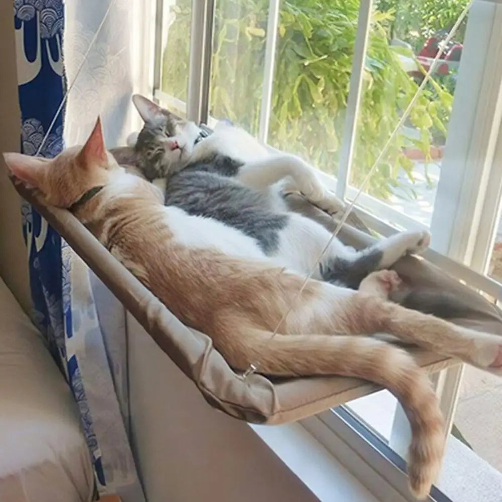 Hanging Cat Hammock