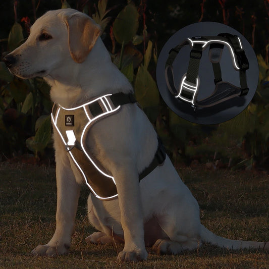 Training & Walking Dog Harness
