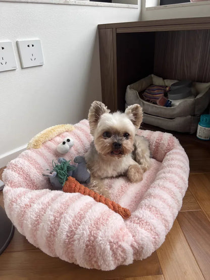 Winter Pet Sofa Bed