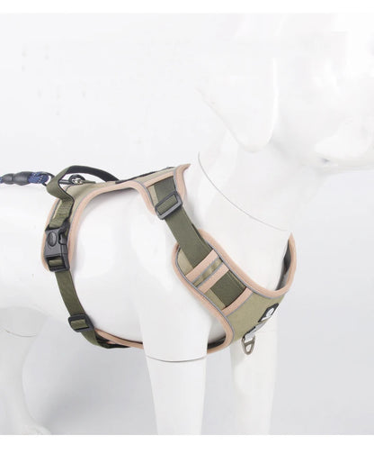 Training & Walking Dog Harness