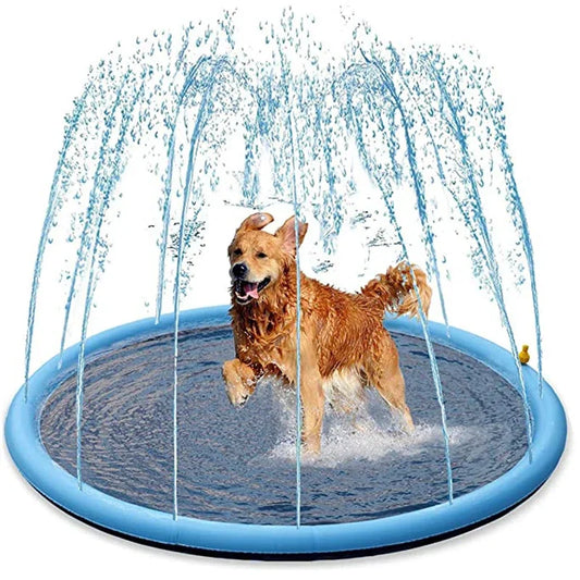 Dog Splash Pad & Sprinkler Pool