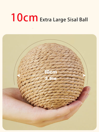 Cat Chew & Scratch Ball